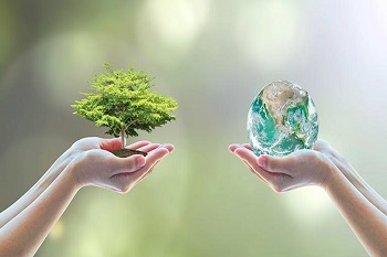 مكتب قصر غمدان 